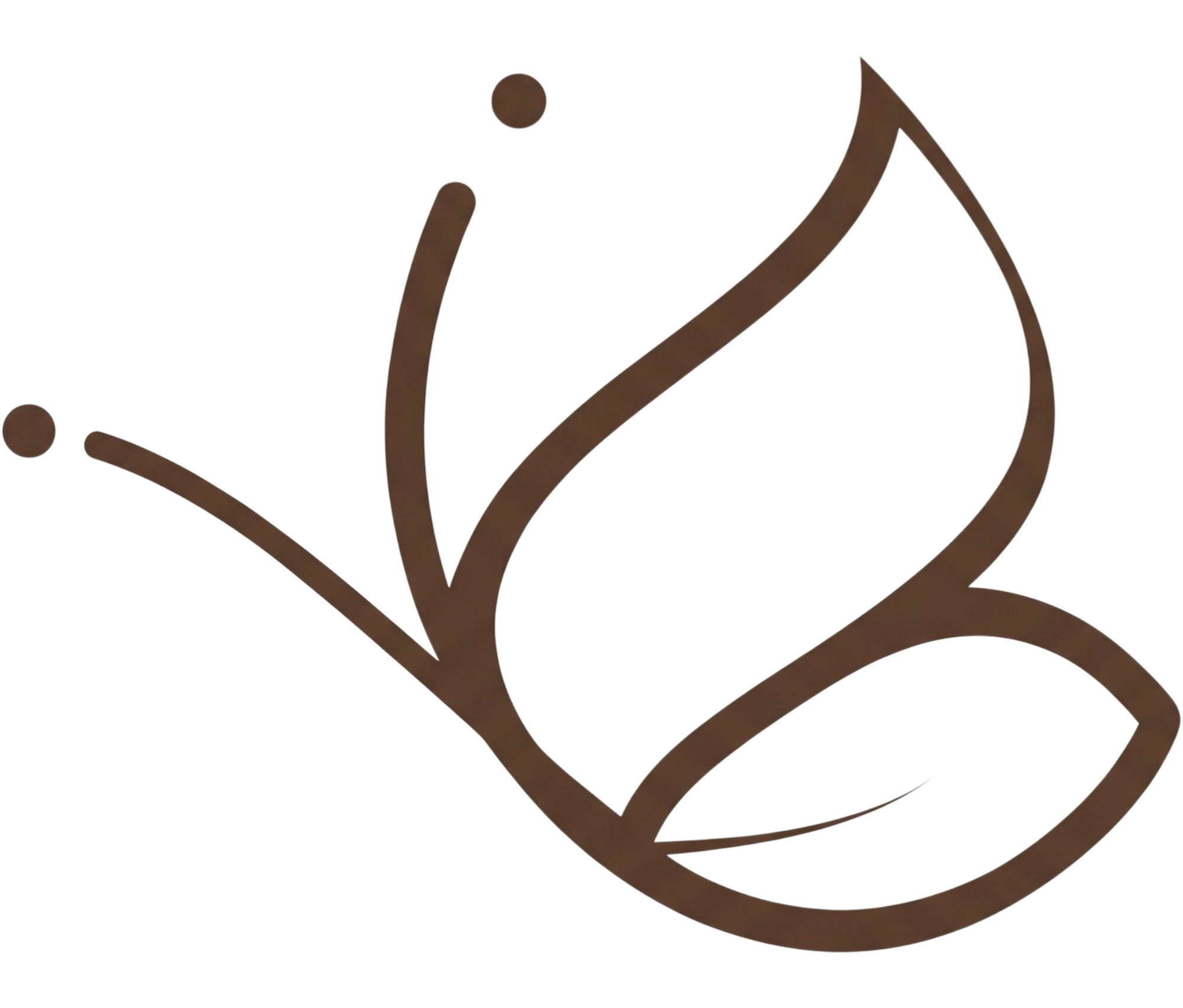 Butterfly Icon